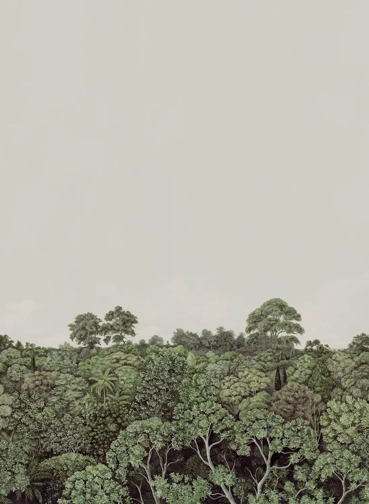 Nobilis Carta da parati panoramica Canopy 1 - MHP10