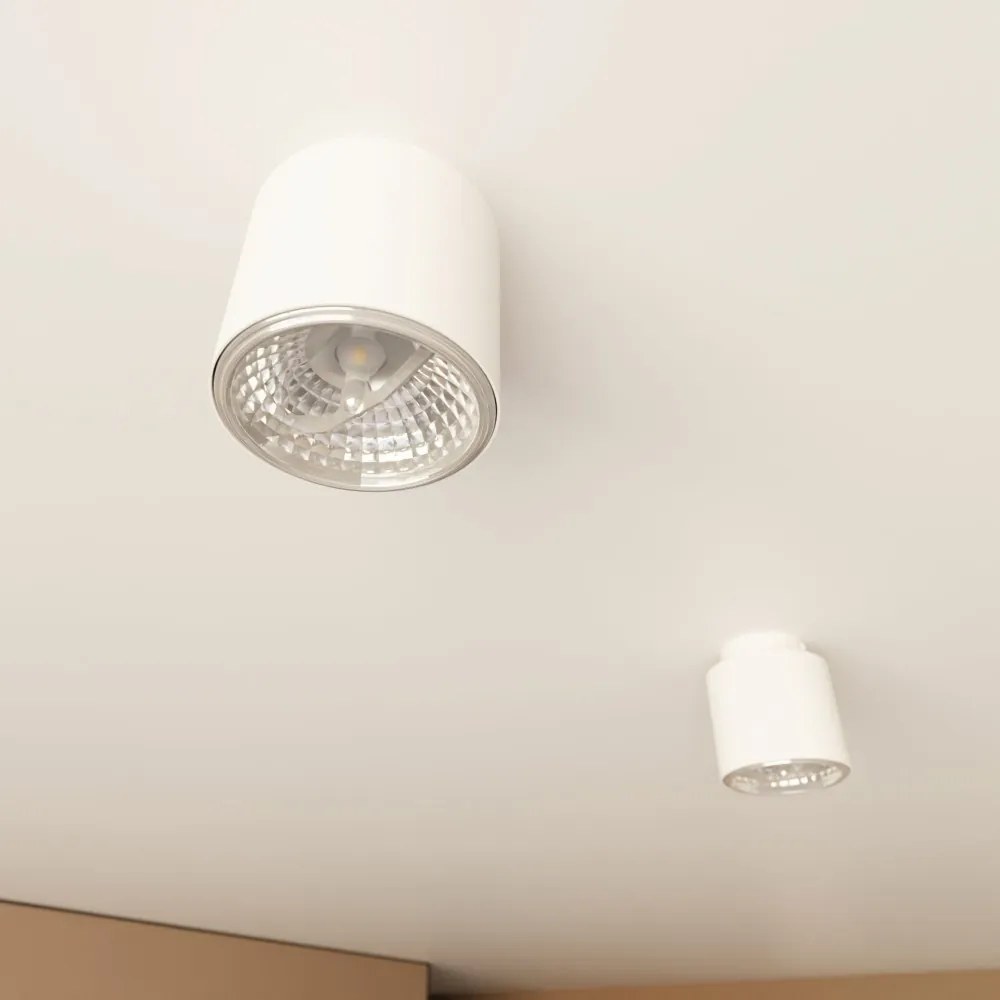Lampada da Soffitto in Acciaio AR111 NANO 1 Bianco Colore del corpo Bianco