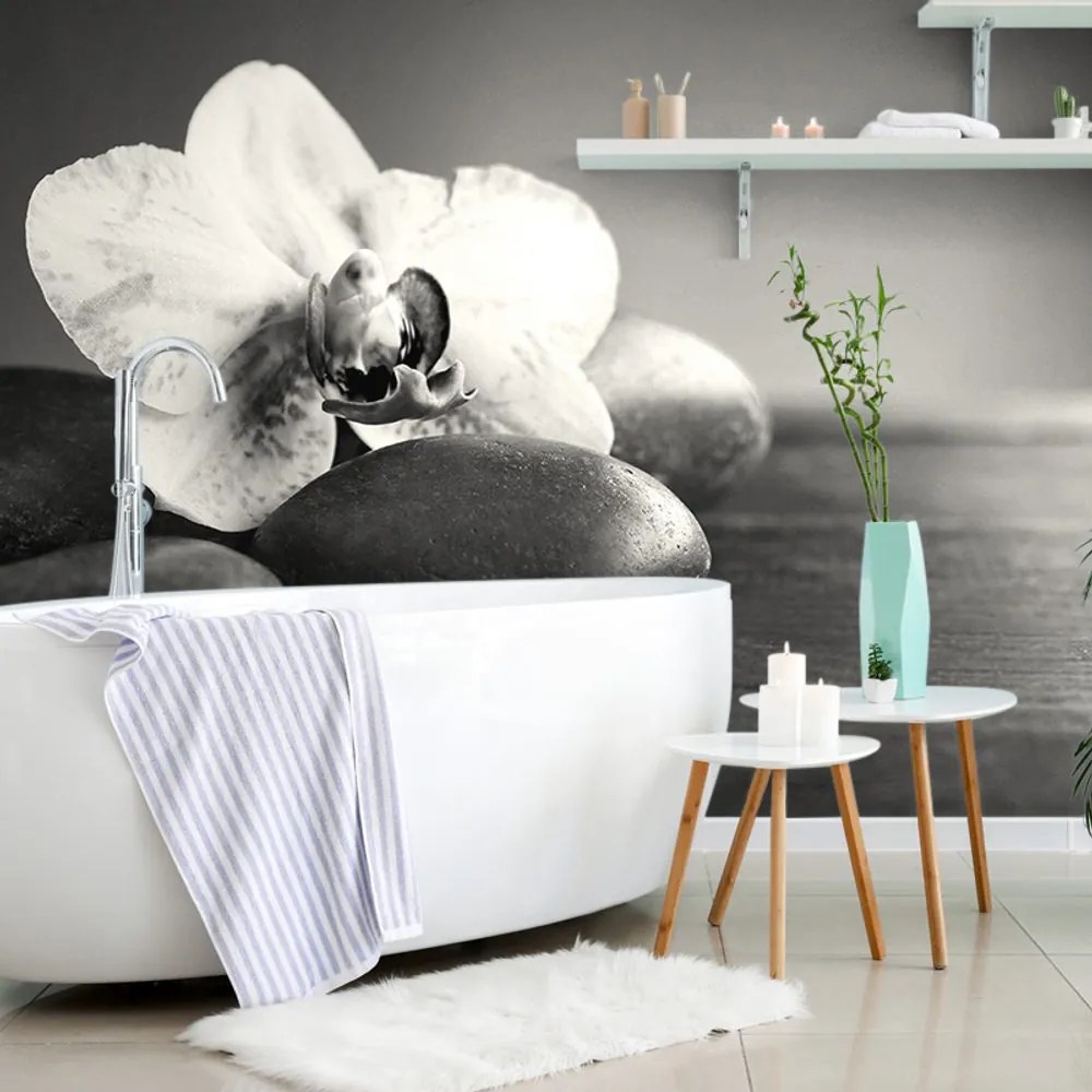Carta da parati – Orchidea bianco e nero e pietre