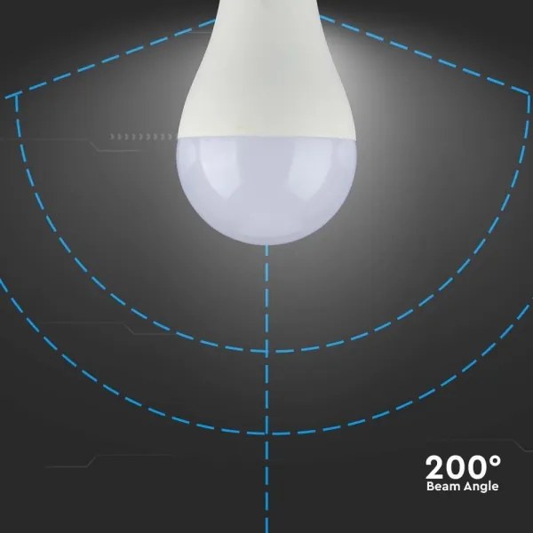 Lampadina LED SAMSUNG CHIP A65 E27/15W/230V 6500K