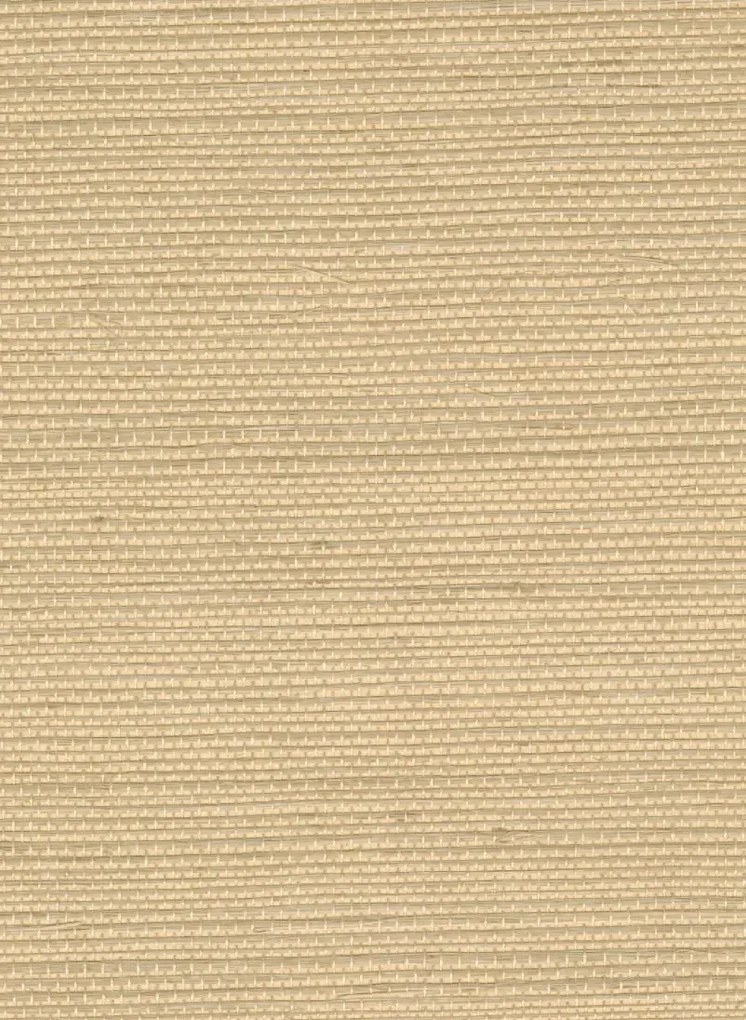 Élitis Carta da parati Sisal - RM 1069 11