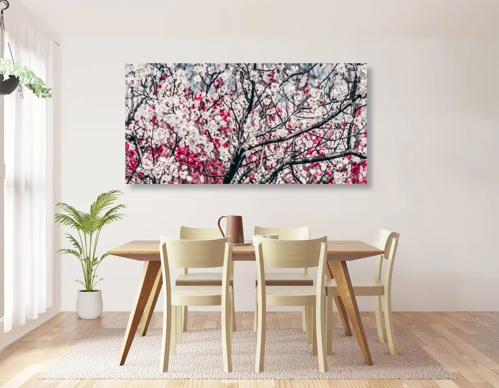 Quadro su tela – Fiori di pesco