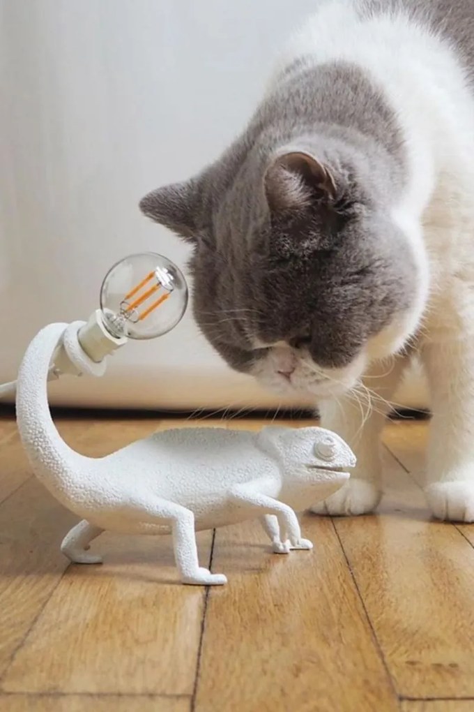 Seletti chameleon lamp still usb