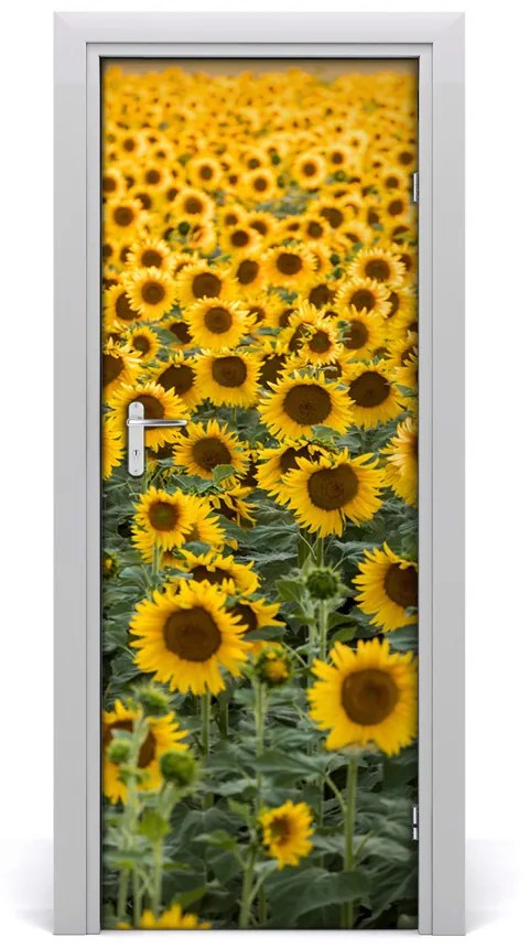 Poster adesivo per porta Campo di girasole 75x205 cm