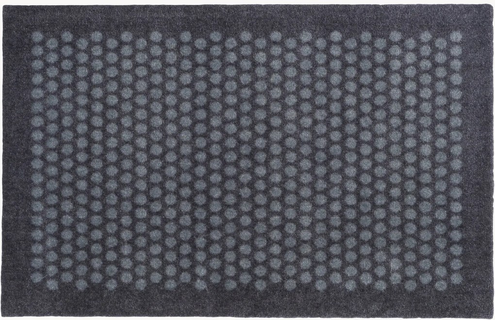 Zerbino Dot