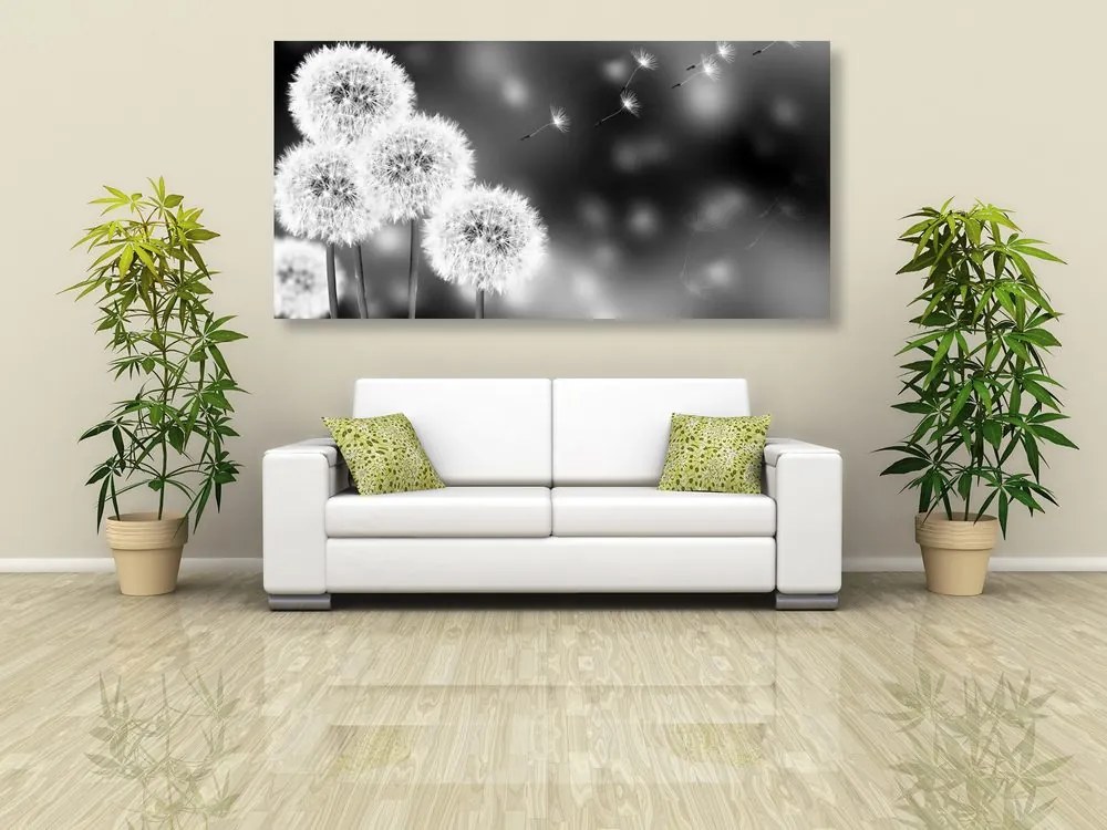 Quadro su tela – Dente di leone soffice in bianco e nero
