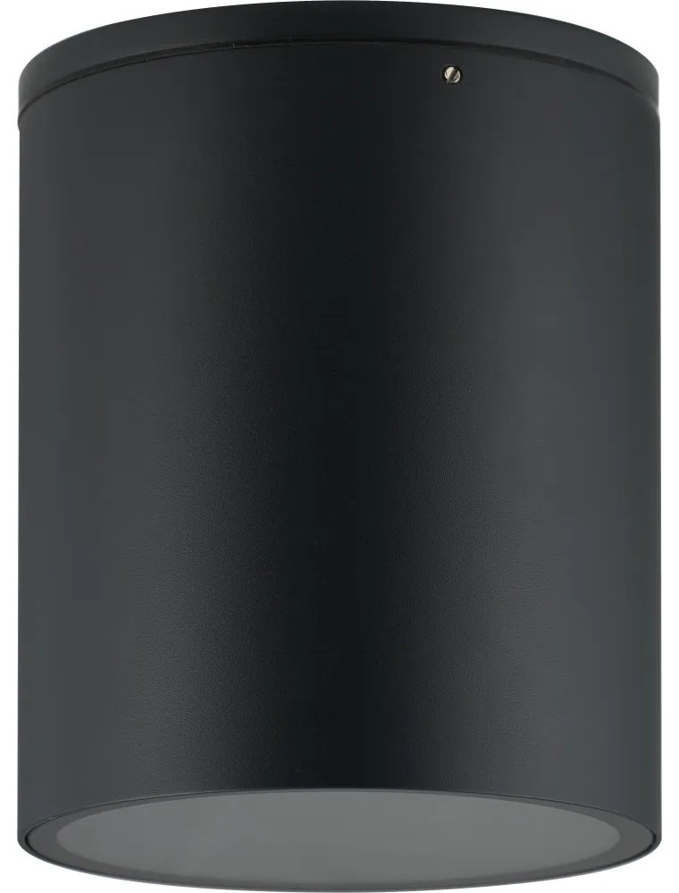 Applique da soffitto Cilindrica PAR30 IP54 in Alluminio e Vetro - Nera Colore del corpo Nero