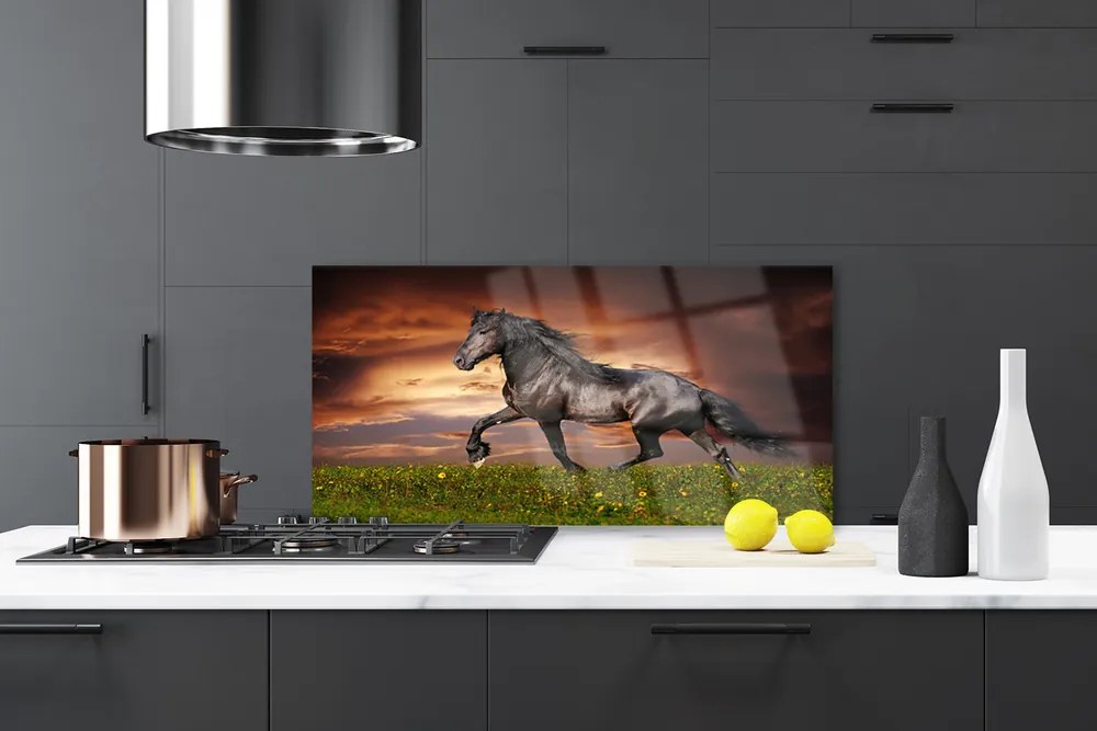 Pannello paraschizzi cucina Animali del prato del cavallo nero 120x60 cm