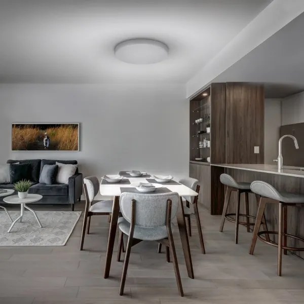 Solight WO799 - Plafoniera LED dimmerabile LED/50W/230V 3000-6000K + +TC