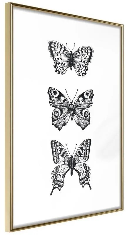 Poster Butterfly Collection III