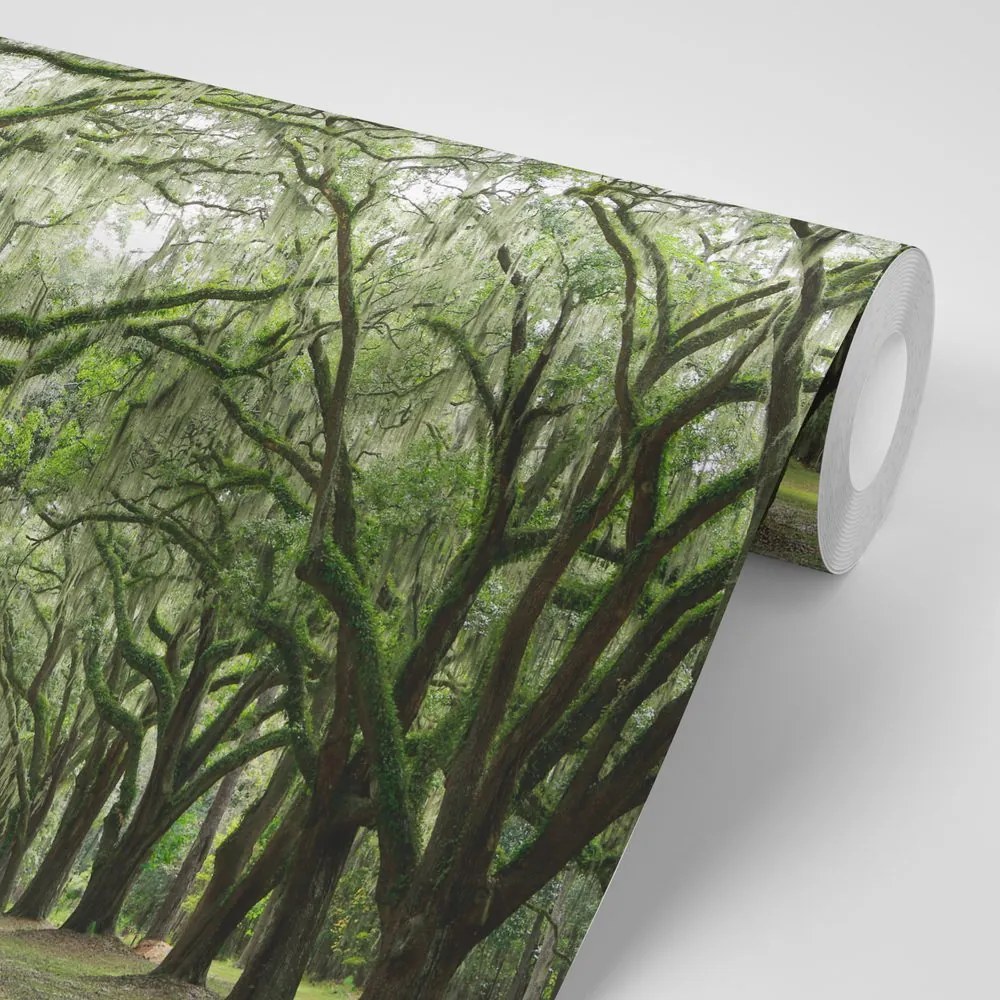 Carta da parati autoadesiva – In abbraccio degli alberi