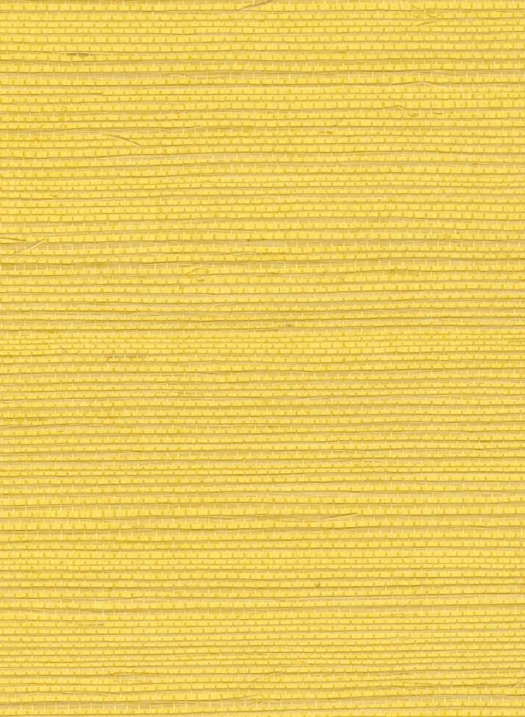 Élitis Tapete Sisal - RM 1069 21
