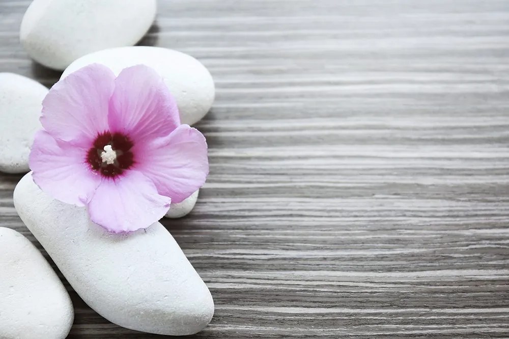 Carta da parati – Armonia di pietre e fiore rosa