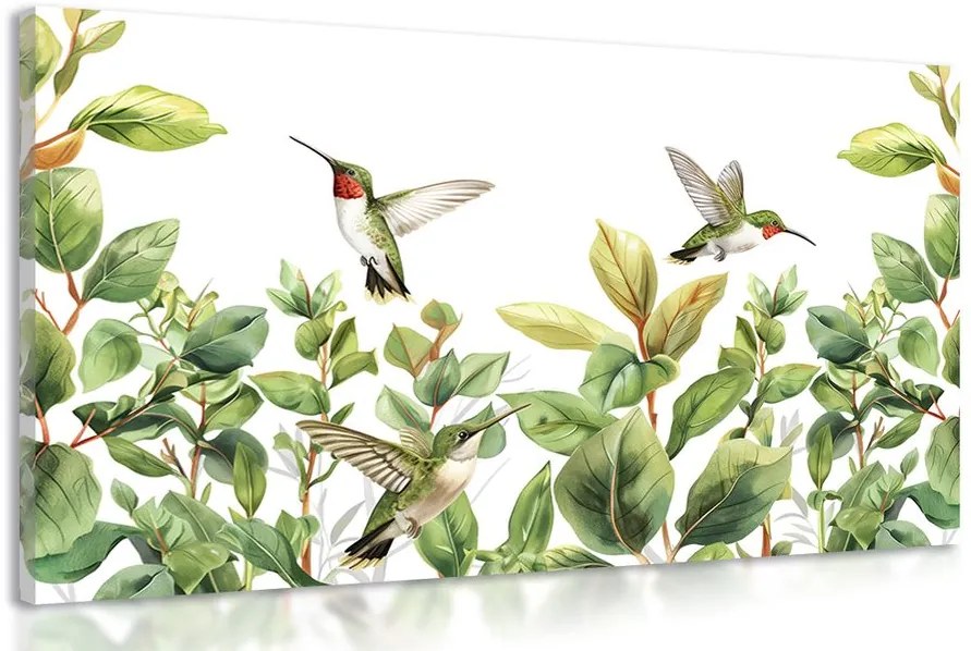 Stampa su tela – Colibrì e foglie