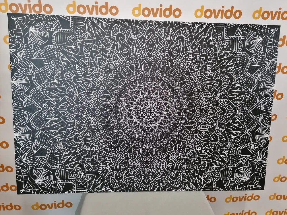 Quadro su tela – Mandala decorativa dettagliata in bianco e nero