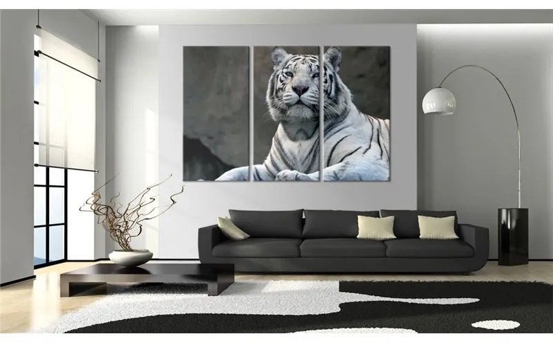 Quadro Tigre bianca