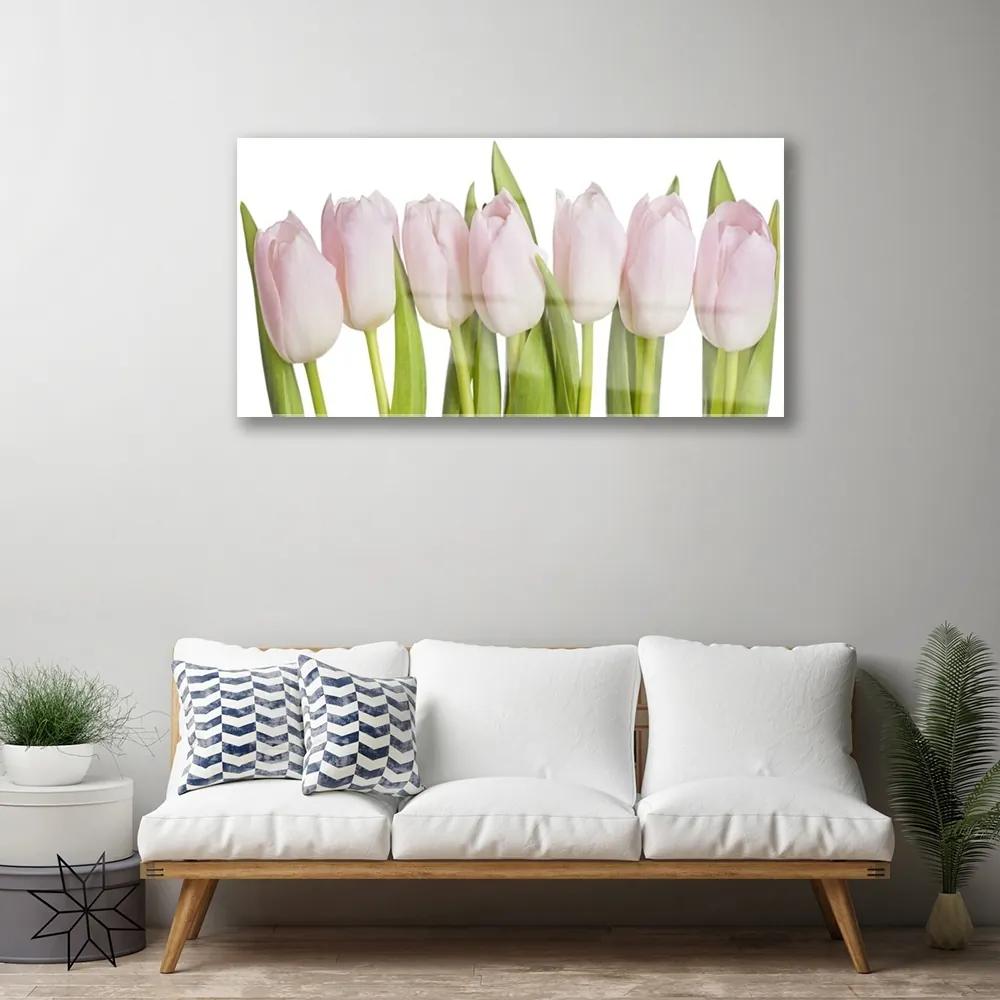 Quadro acrilico Tulipani, fiori, piante 100x50 cm
