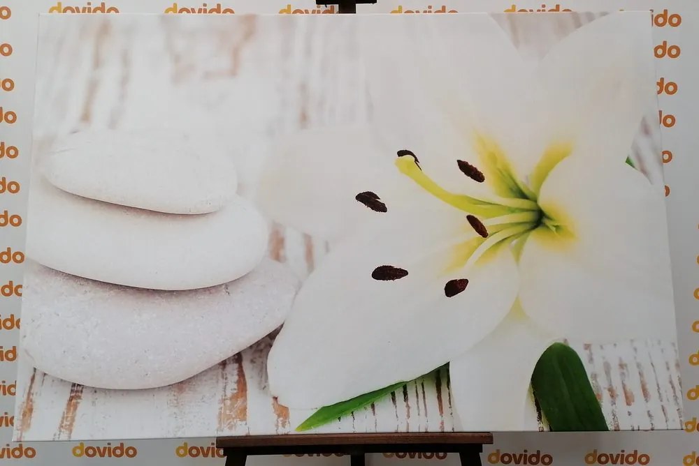 Quadro su tela – Giglio e pietre da massaggio in bianco