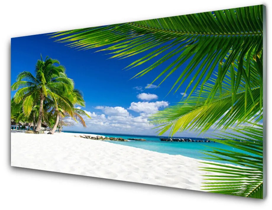 Quadro di vetro Spiaggia tropicale vista mare 100x50 cm 2 appendini