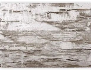Carta da parati - Shabby Chic Wood Standard 250x175