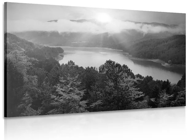 Quadro su tela – Fiume nel mezzo della foresta in bianco e nero