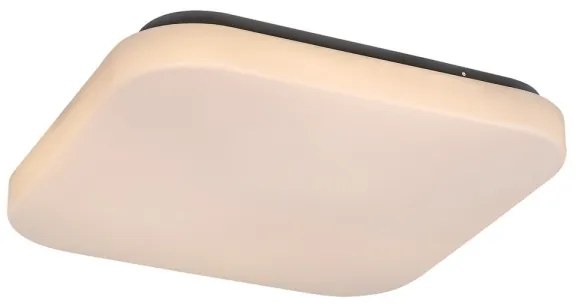 Rabalux 3340 - Plafoniera LED ROB 1xLED/20W/230V