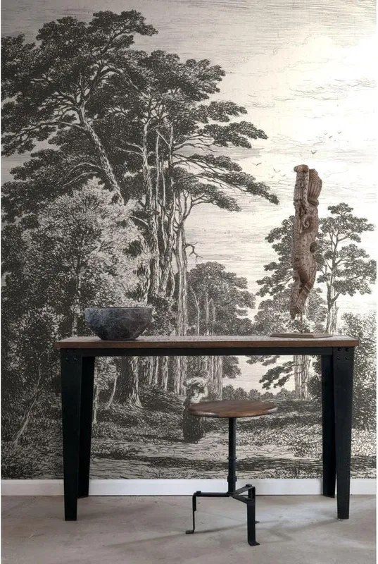 Fotomurale ESTA Paesaggio, bianco e nero 186X280 cm