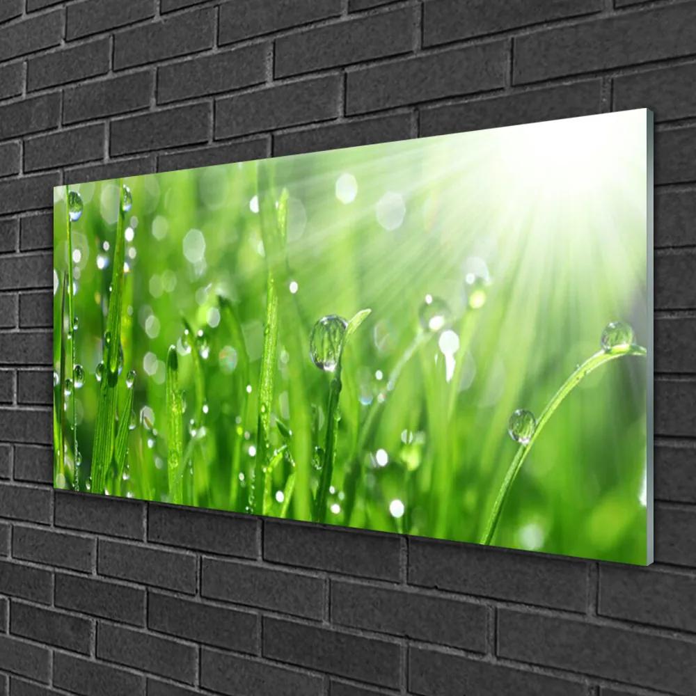 Quadro su vetro Gocce di erba naturale 100x50 cm