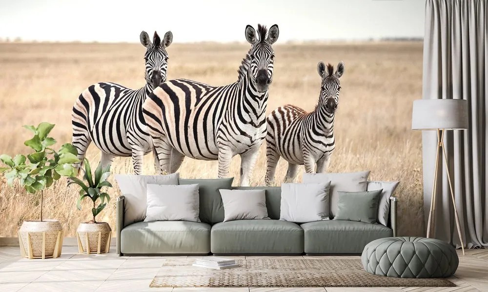 Carta da parati – Tre zebre nella savana