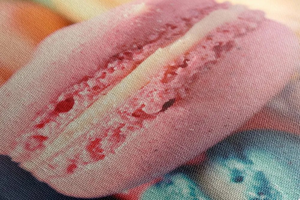 Quadro su tela – Macaron colorati