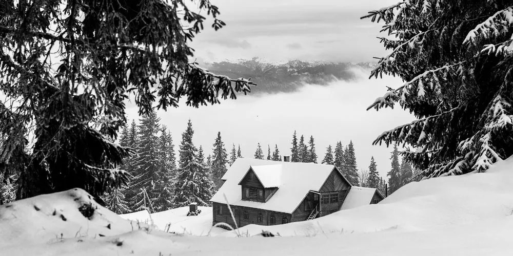 Quadro su tela – Casetta di legno tra pini innevati in bianco e nero