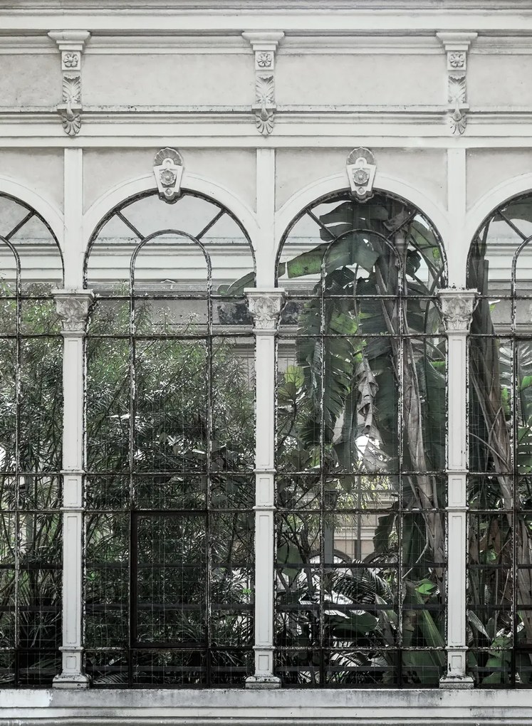 Rebel Walls Carta da parati panoramica Dove Gardens - White