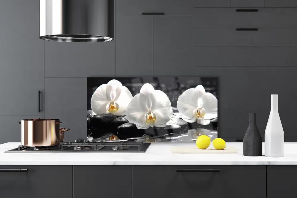Pannello paraschizzi cucina Fiore di orchidea bianca 100x50 cm