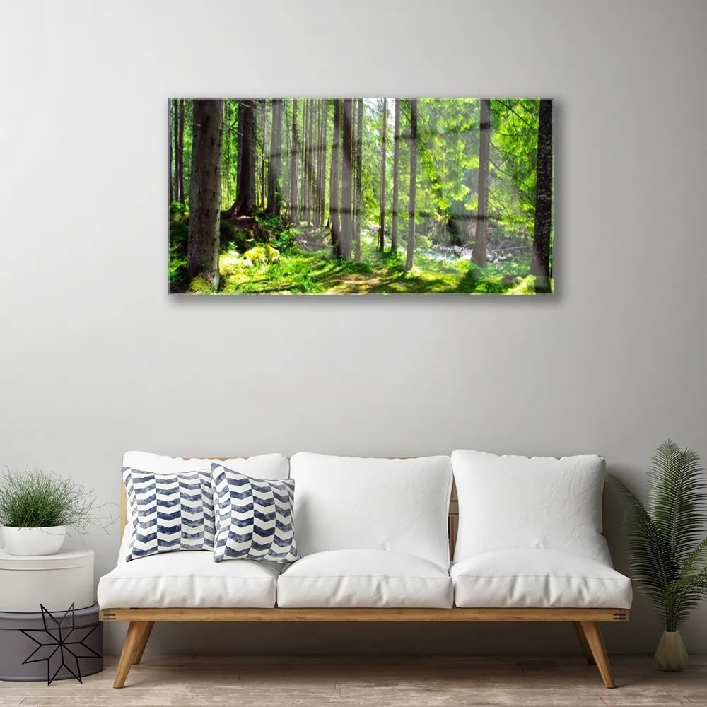 Quadro di vetro Foresta Alberi Pianta Natura 100x50 cm