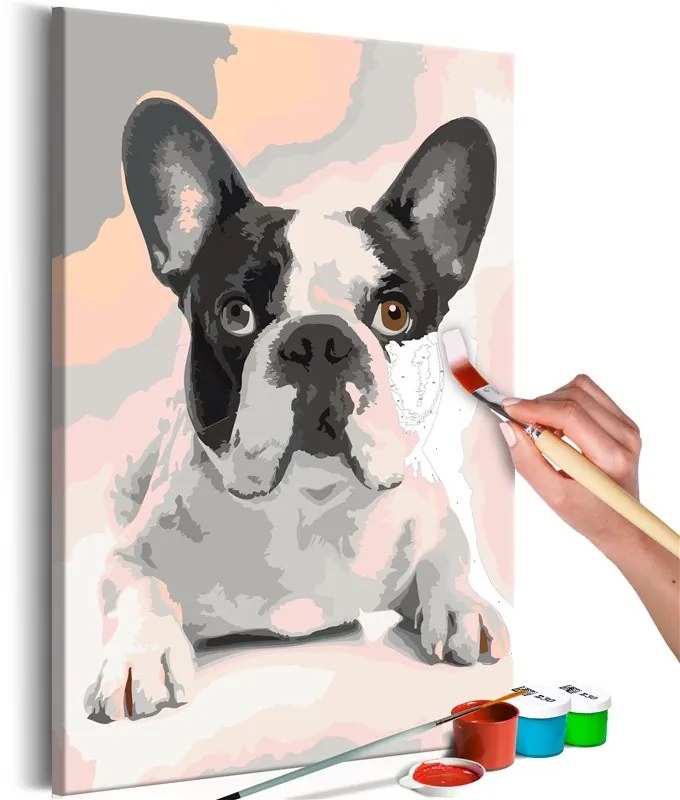 Quadro fai da te  Bulldog francese  Colore Rosa, Dimensioni e Misure 40x60