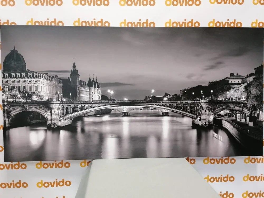 Quadro su tela – Panorama abbagliante di Parigi in bianco e nero