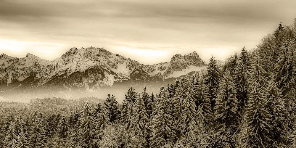 Quadro su tela – Montagne congelate in seppia