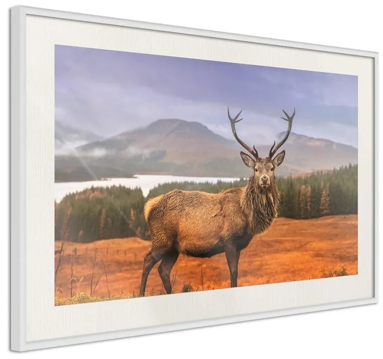 Poster  Majestic Deer  Cornice Quadri Cornice nera con pass-partout, Larghezza x Altezza Home decor 45x30