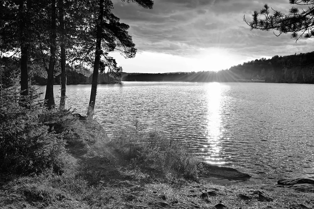 Carta da parati – Tramonto sul lago in bianco e nero