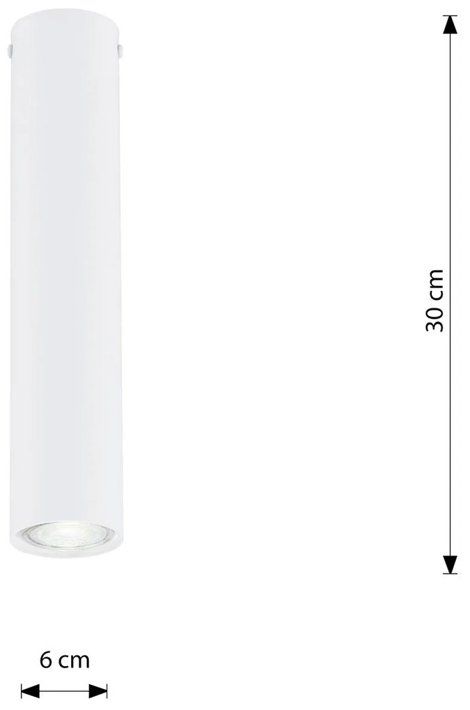 Plafoniera Moderna Faretto Tecno 1 Luce Acciaio Bianco 30 Cm