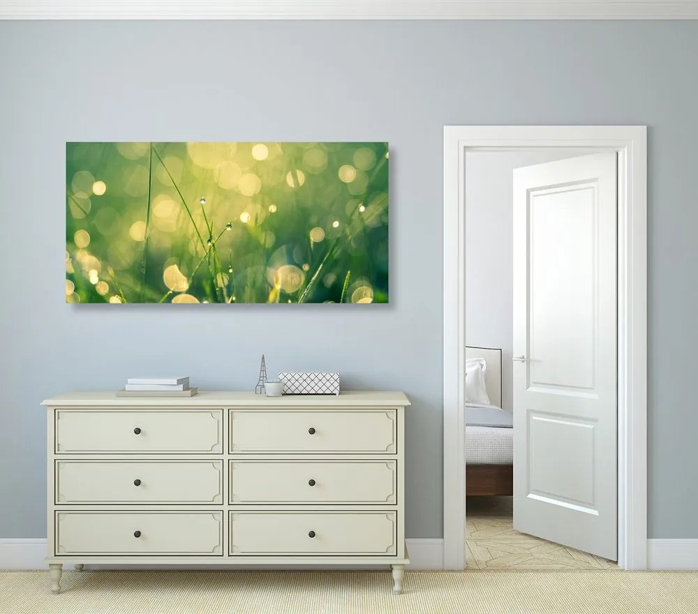 Quadro su tela – Rugiada mattutina