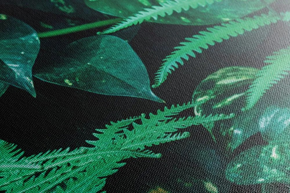 Quadro su tela – Foglie tropicali fresche