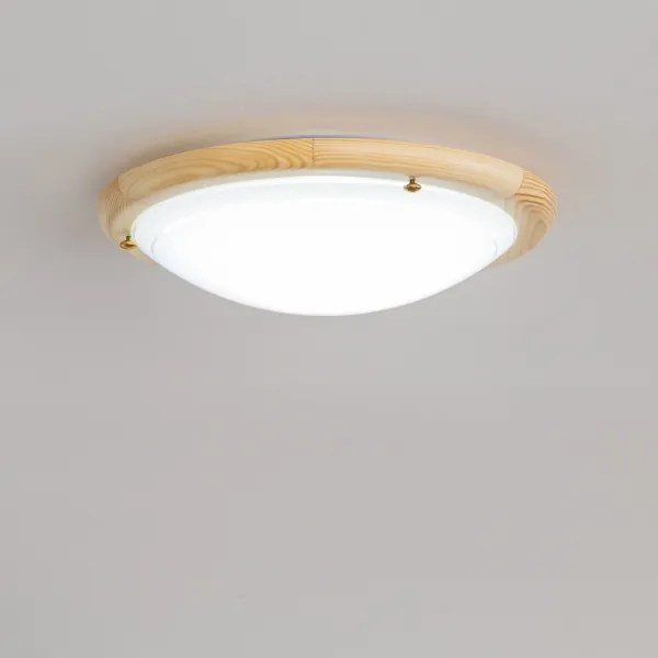 Rabalux 5411 - Plafoniera UFO 1xE27/60W/230V