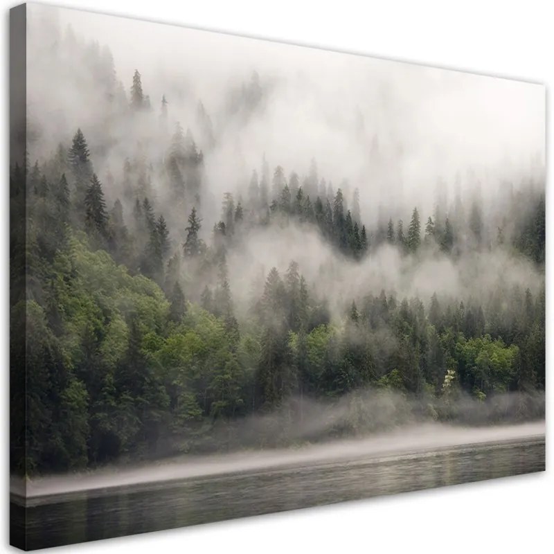 Quadro su tela, Foresta nella nebbia  Dimensioni 120x80