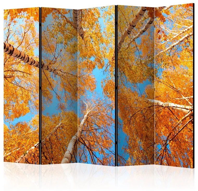 Paravento  Autumnal treetops II [Room Dividers]  Colore ---, Dimensioni e Misure 225x172