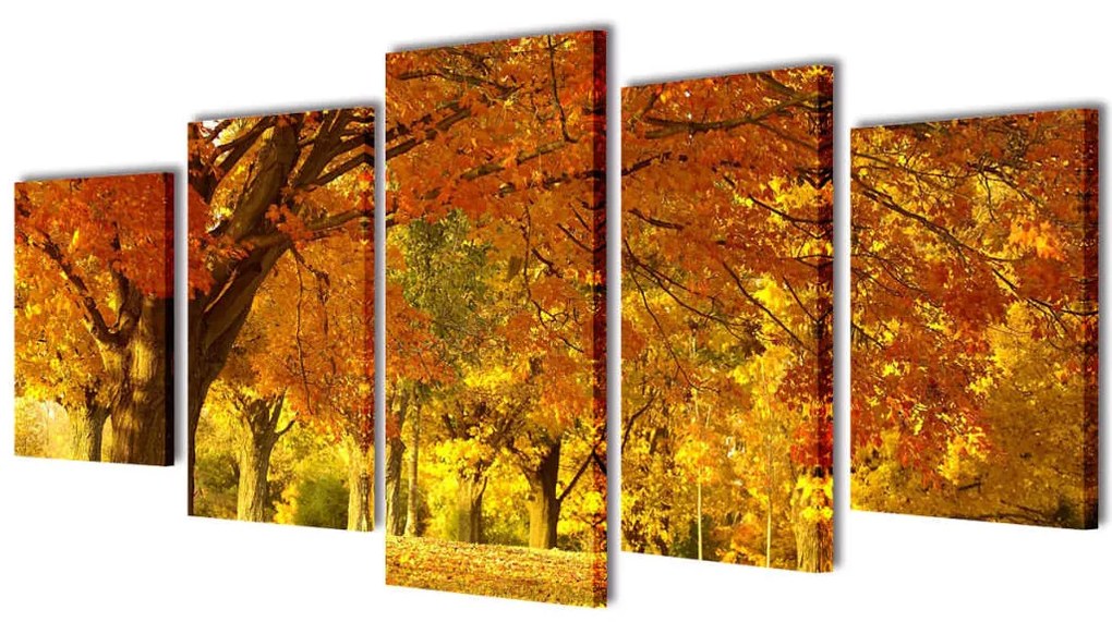 5 Pz Set Stampa Su Tela Da Muro Acero 100 X 50 Cm /