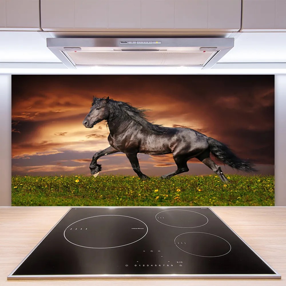 Pannello paraschizzi cucina Animali del prato del cavallo nero 120x60 cm