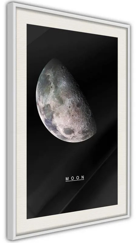 Poster  The Solar System: Moon  Cornice Quadri Cornice nera, Larghezza x Altezza Home decor 20x30