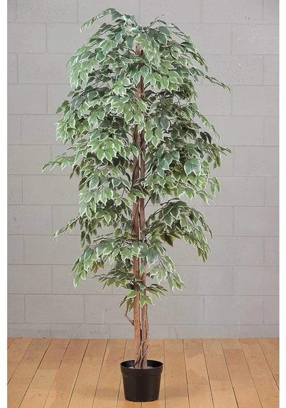 Pianta artificiale senza vaso Ficus H 210