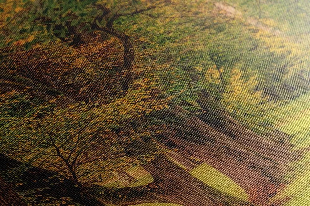 Quadro su tela – Sentiero nella foresta autunnale